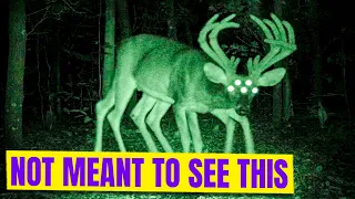 Most Terrifying Creatures Caught On Camera