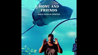 Maui Ocean Center Reggae  #entertainmentvideo #maui #dolphins #seaturtles #inspirational #coolmusic