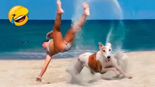 Funny Animal Videos 🤣 Funniest Cats and Dogs Videos 2024 😁 #87