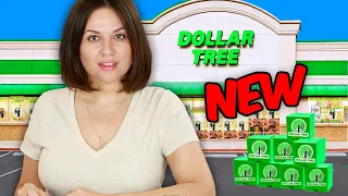 I Bought New Dollar Tree Products: Here's What We SKIP!