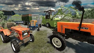 Maize silage harvest in a small dairy Farm - Small tractors work in the Farm | Farming Simulator 22