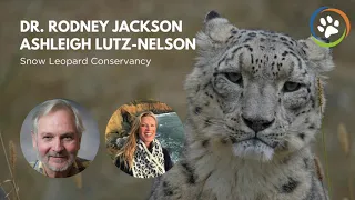 WCN Virtual Fall Expo 2020: Snow Leopard Conservancy