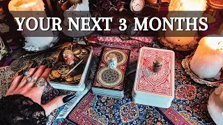 What's Coming For You in The Next 3 Months? | Red Fairy Tarot #tarotreading