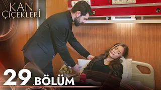 Kan Çiçekleri 29. Bölüm