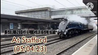 60007 "Sir Nigel Gresley" at Stafford (05/04/23)
