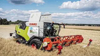 🇵🇱Nowy Nabytek 2023🔥Claas Trion 640🔥Pierwsze Koszenie Rzepaku 2023✔UR KAMWIO✔Agro Awuus✔