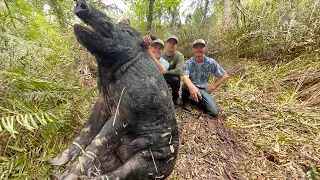 HOGZILLA Captured in Florida!!!!