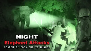 Elephant attacks House in Search of Food Due to Hunger