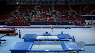 AGHAMIROV Ruslan (AZE) - 2017 Trampoline Worlds, Sofia (BUL) - Qualification Trampoline Routine 2