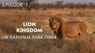 The Lion Kingdom E1 | Indian wildlife documentary | Wildlife documentary in hindi | free nature