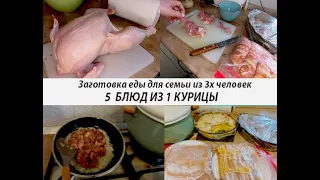 Заготовка блюд из курицы!! 5 вкусных блюд из 1 курицы!!!