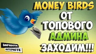 MONEY-BIRDS.ONE  ❌ ПРОЕКТ ПЕРЕСТАЛ ПЛАТИТЬ 10.08.2018 ГОДА!! СКАМ!!