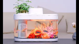 Xiaomi Geometry Amphibious Eco Fish Tank Pro