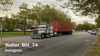 Работа на контейнерах на классике в штате Вашингтон￼ Peterbilt 389