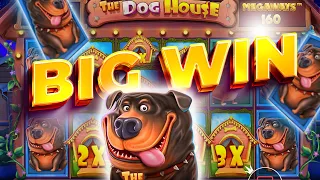 DOG HOUSE MEGAWAYS BIG HIT ON OUR $500 STARTING BALANCE (BONUS BUYS)