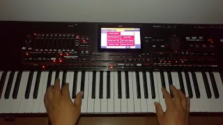 Brother Louie on korg pa4x