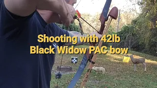 Shooting a Black widow PAC 42lbs