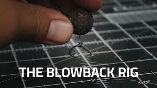 The Ultimate Carp Rig: Supercharge Your Fishing with the Blowback Rig | Tacticarp TV