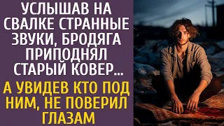 Услышав на свалке странные звуки, бродяга приподнял старый ковер… А увидев кто под ним, похолодел…