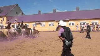 Wild Western Festival 2011 - Horses 2