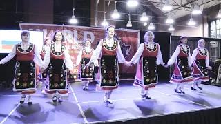 WORLD MULTICULTURAL FESTIVAL 2019 ~ Bulgaria