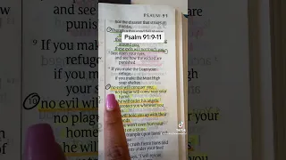 Psalm 91:9-11