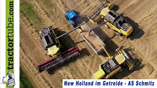 3 New Holland Drescher im Getreide mit LU Schmitz aus Weeze