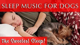 Sleep Music for Dogs and Their Humans | 432 Hz Black Screen