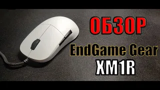 ОБЗОР ENDGAME GEAR XM1R (ЛУЧШАЯ ХМ1, ПОКА ЧТО)