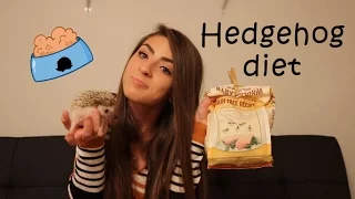 What to feed your hedgehog!
