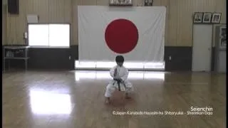 Seienchin - Japan Karatedo Hayashi-ha Shitoryu