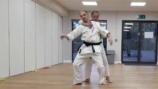 Tegumi - Karate Grappling