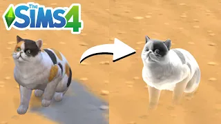 How To Turn Cat Into Ghost (Cheat) - The Sims 4