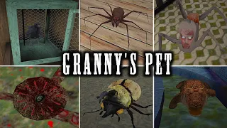 Granny's all pet vs weapons 😂😂