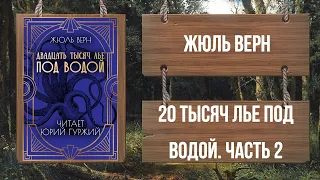 ЧАСТЬ 2. ЖЮЛЬ ВЕРН - ДВАДЦАТЬ ТЫСЯЧ ЛЬЕ ПОД ВОДОЙ