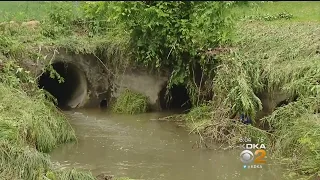 Flood Waters Suck Bethel Park Man Into Storm Drain