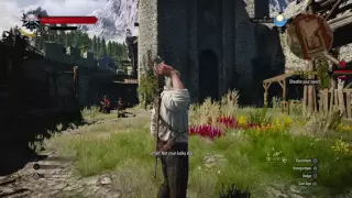 Cheap shot vesamir - The Witcher 3: Wild Hunt