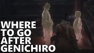 Where to Go After Genichiro! Under Shrine Valley! Sekiro Shadows Die Twice 29