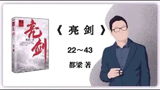 都梁《亮剑》22～43