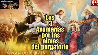 las 3 avemarías  por las almas del purgatorio a Dios padre, al Hijo Y al espíritu santo .