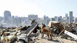 Взрыв в Бейруте: поиски погибших и виновных продолжаются