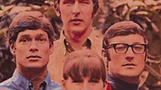 THE SEEKERS-"I'LL NEVER FIND ANOTHER YOU"(VINYL + LYRICS)