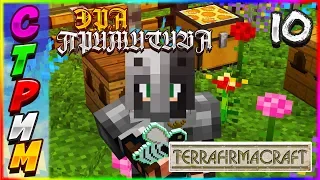 🔥ЛАМПОВЫЙ СТРИМ #10 ОБЩАЕМСЯ И ИЗУЧАЕМ FORESTRY Эра Примитива | Выживание с модом TerraFirmaCraft🔥