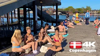 [4k] 🇩🇰 Kalvebod Brygge Harbor Beach, Summer 2023, Beach Walk, Copenhagen Denmark