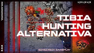 Tibia - Elite Knight Hunt Solo Para 250 + - Hunting Alternativa