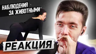 ХЕСУС СМОТРИТ КУРС МАСТЕРТВО АКТЕРА - НАБЛЮДЕНИЯ ЗА ЖИВОТНЫМИ | РЕАКЦИЯ