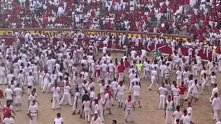 Pamplona 2023 Running of the Bulls