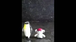 Happy Feet finds a friend