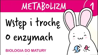 Metabolizm 1 - Informacje ogólne i trochę o enzymach - biologia do matury liceum rozszerzona