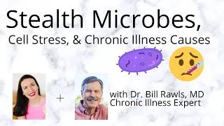 Stealth Microbes & Cell Stress: Causes of Chronic Illness